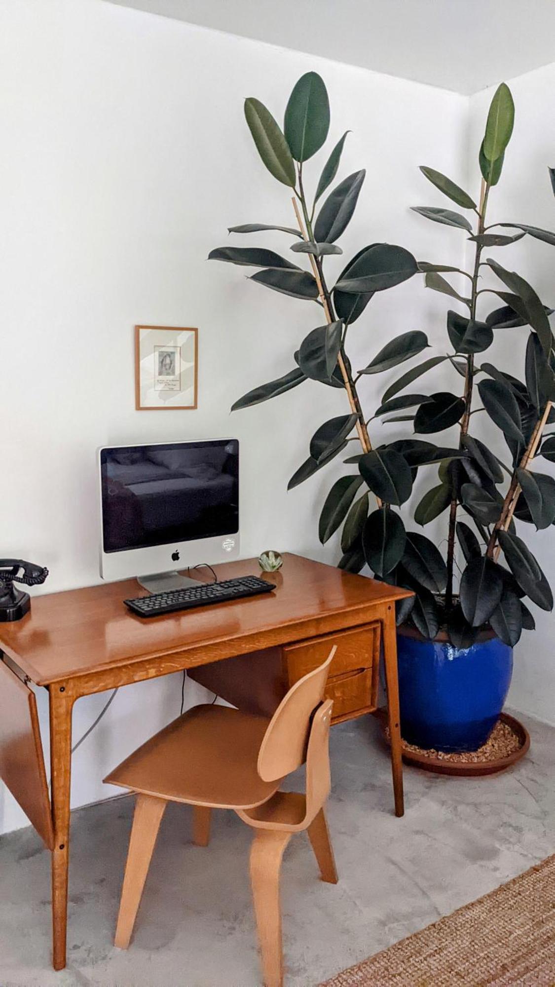 Romantic And Atypical Apartments In Prague'S Montmartre 外观 照片